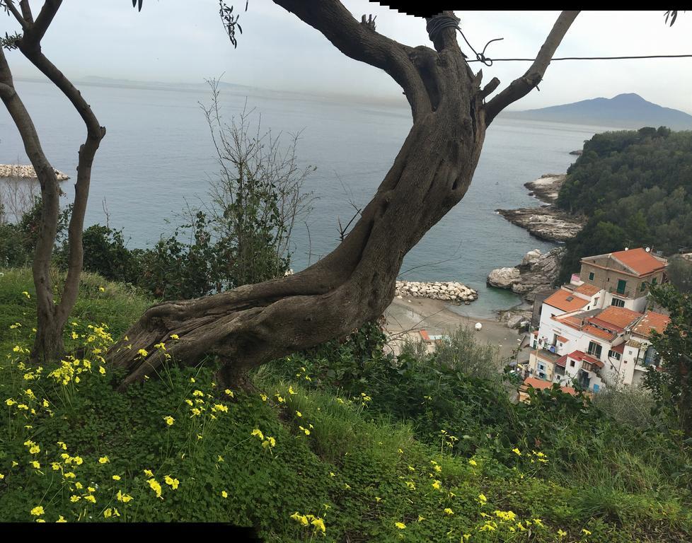 Villa Rosmary - Sorrento Coast - Gulf Of Naples View Luaran gambar