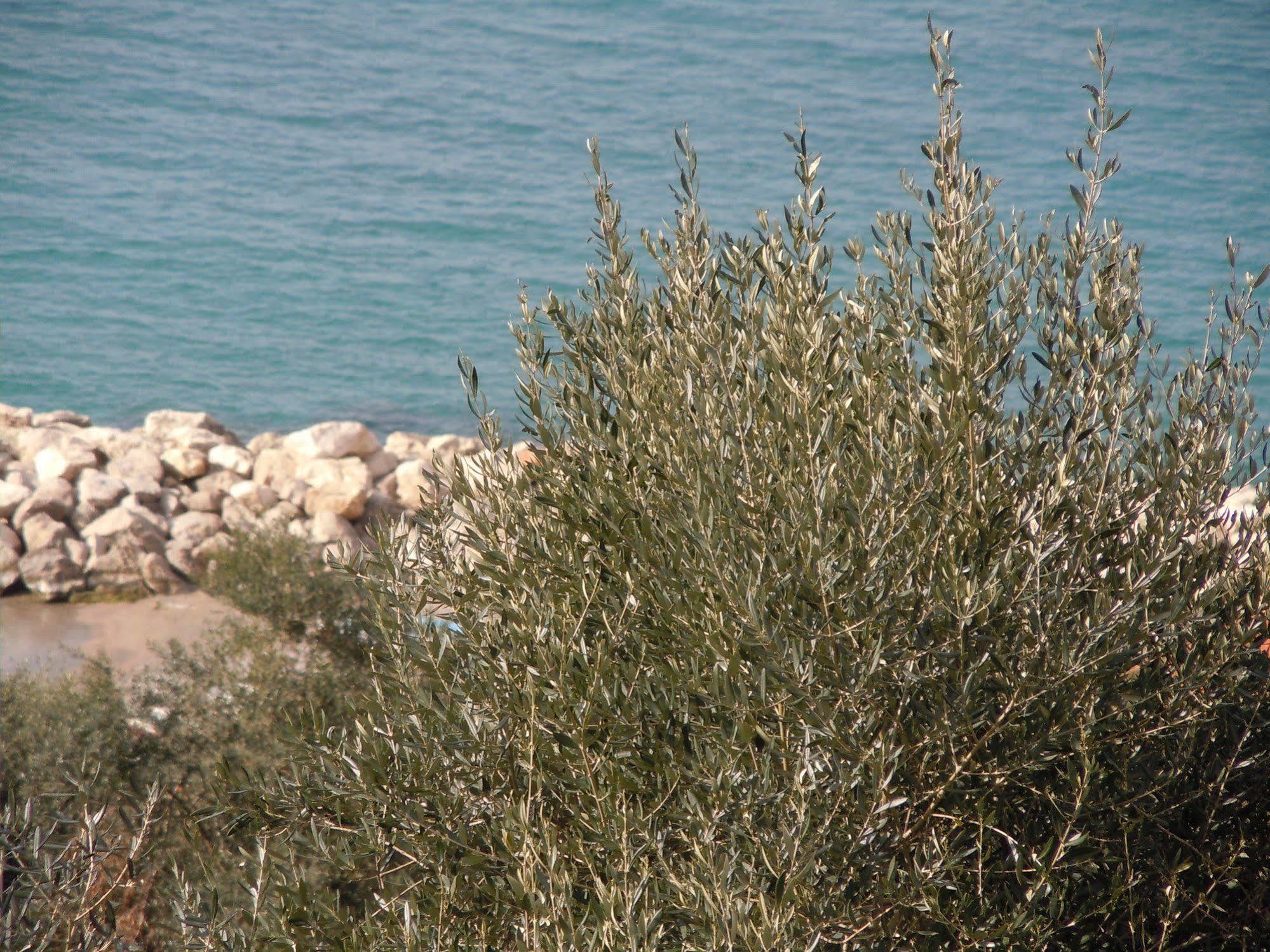 Villa Rosmary - Sorrento Coast - Gulf Of Naples View Luaran gambar
